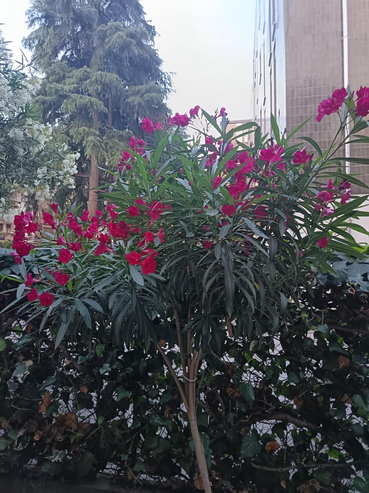 Venice Station Homestay